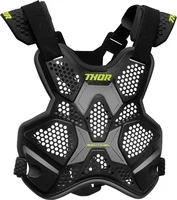 Thor Sentinel LTD Race Roost Guard