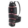Dainese Pro-Armor Back Protector -Fly Sales backpro