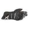 Alpinestars GP Pro R3 Gloves -Fly Sales bk1 3